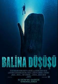 BALİNA DÜŞÜŞÜ